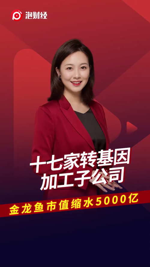 泡财经