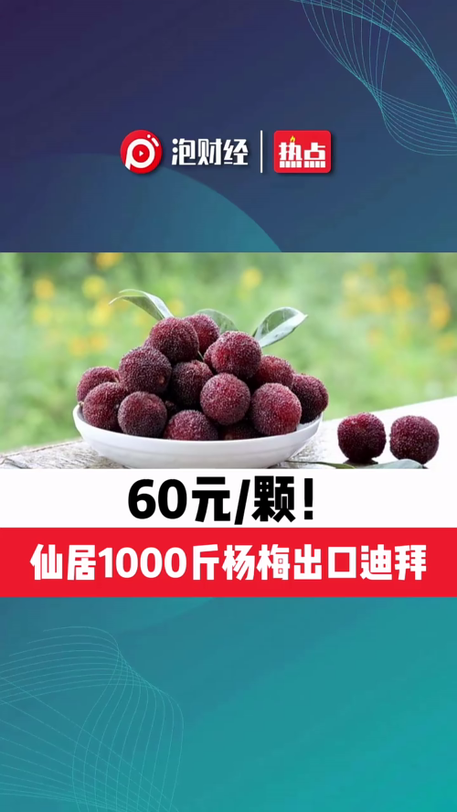 泡财经