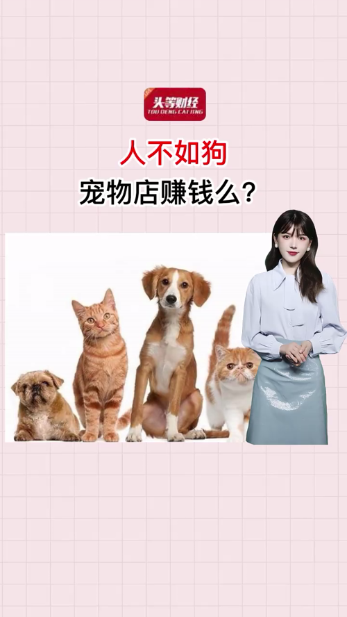 泡财经