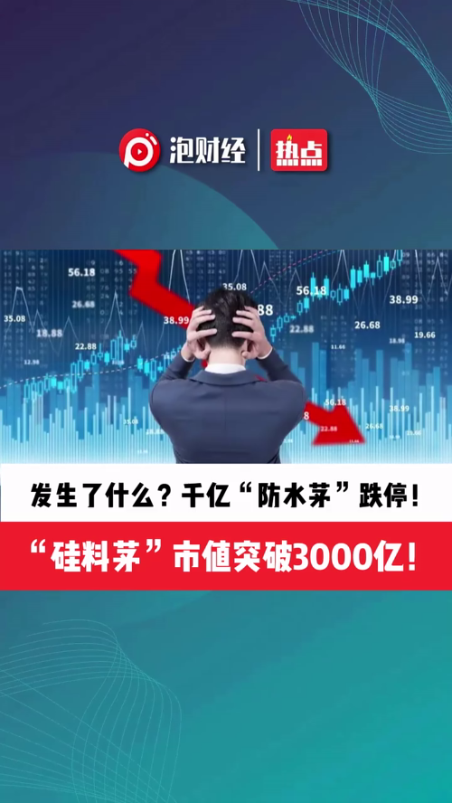 泡财经