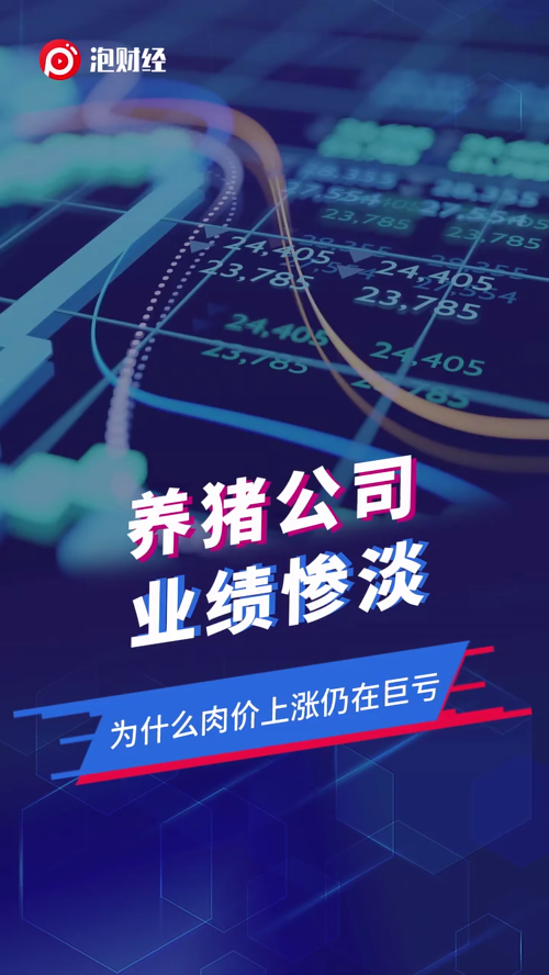 泡财经