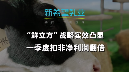 泡财经