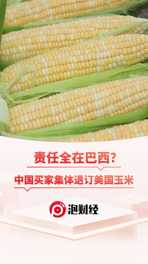 泡财经