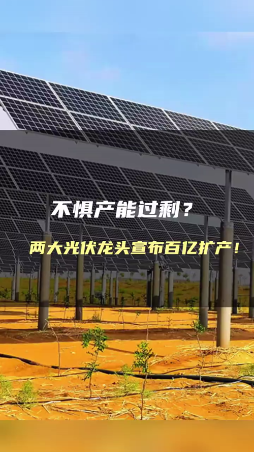 泡财经