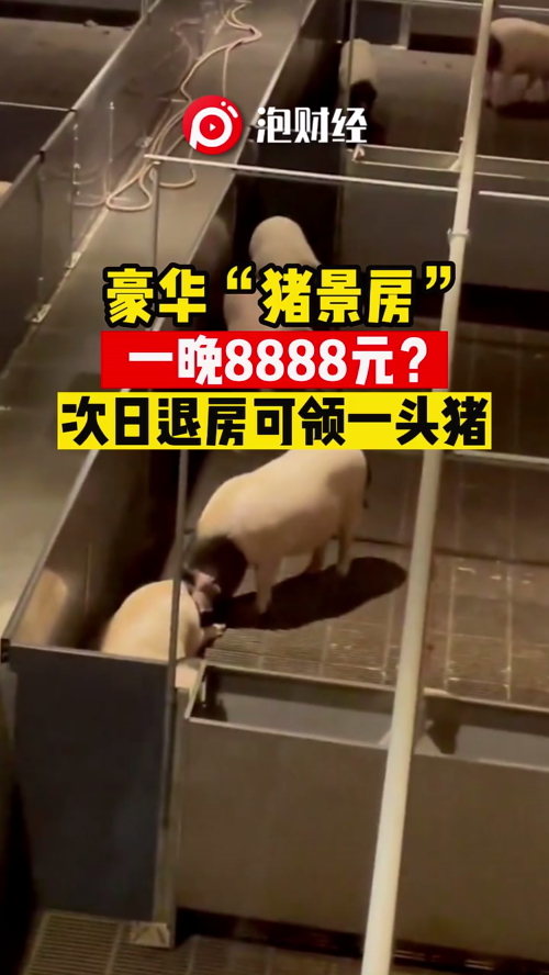 泡财经