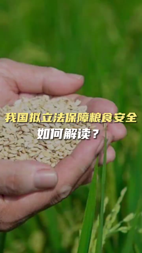 泡财经