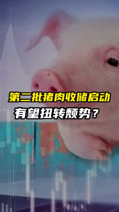 泡财经