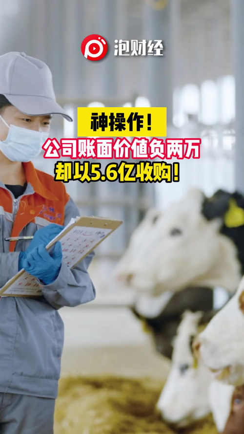 泡财经