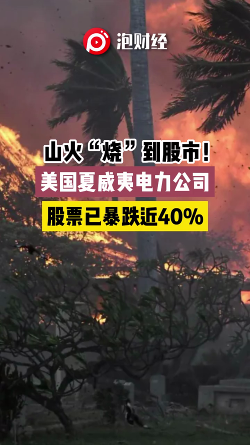 泡财经