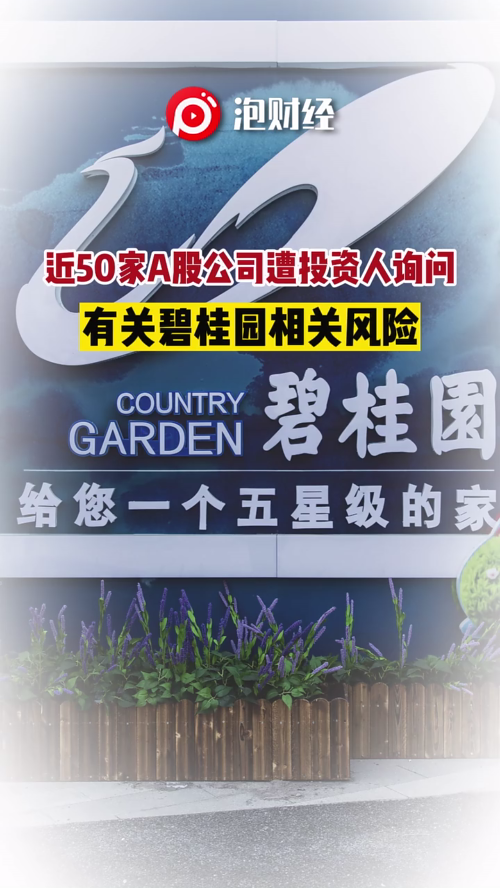 泡财经