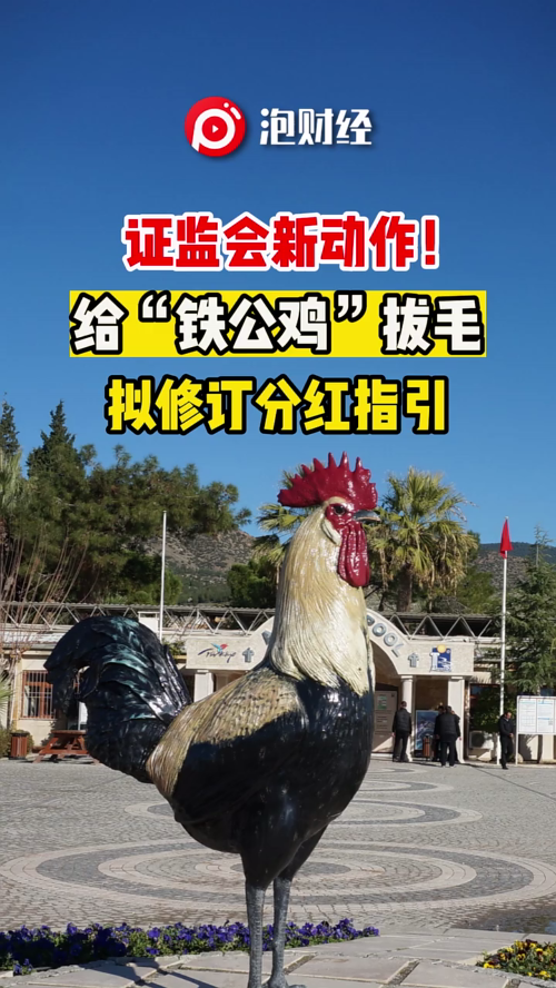 泡财经