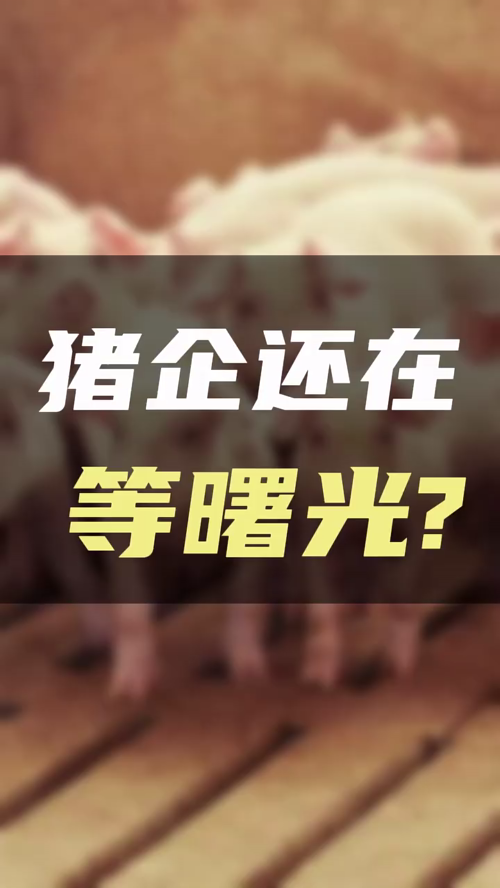泡财经