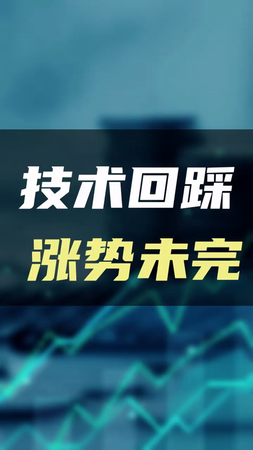 泡财经