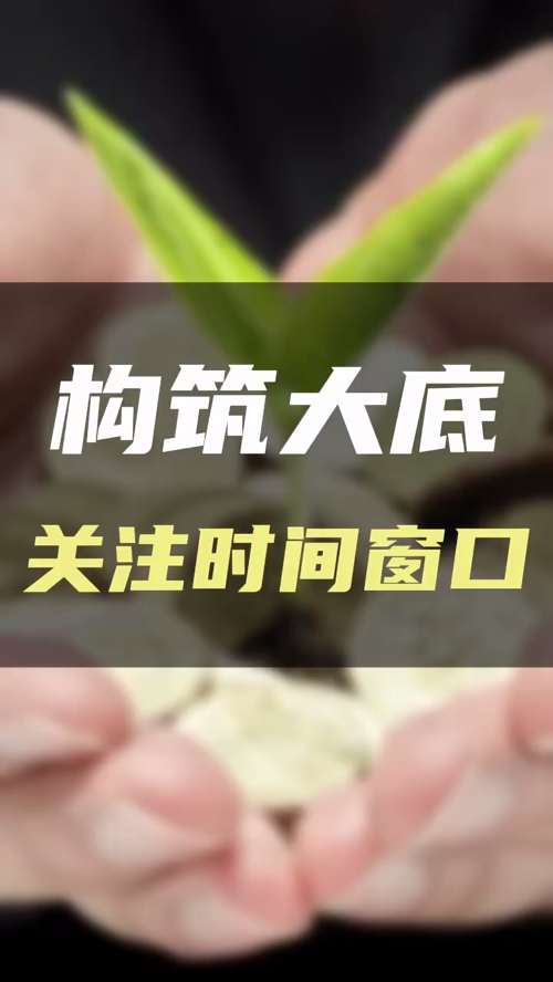 泡财经