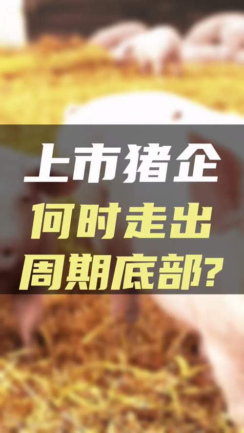 泡财经