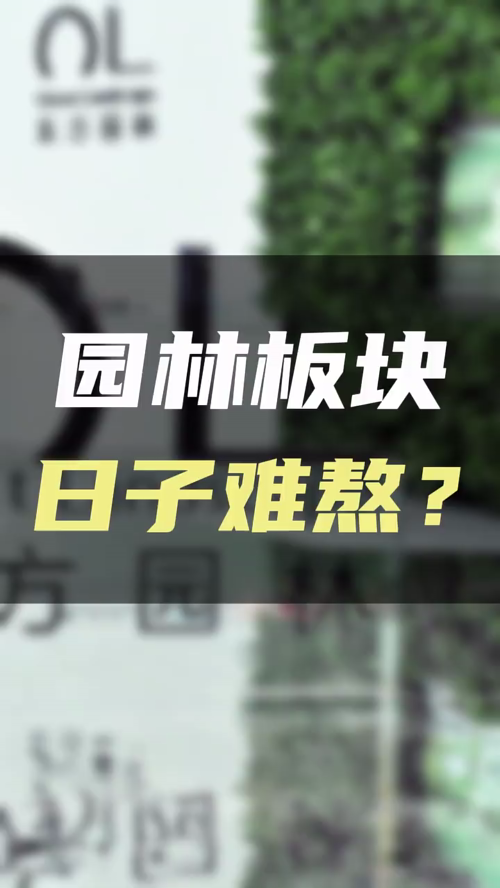 泡财经